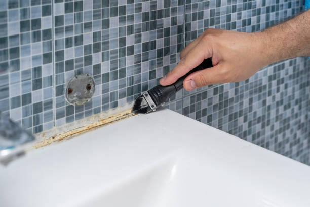 Best Localized Mold Remediation (e.g., coastal areas, humid climates) in Indnola, IA